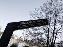 SHINOBAZU POND