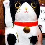 上野アメ横 黒白猫