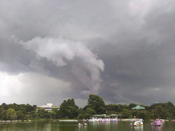 不忍池の雲