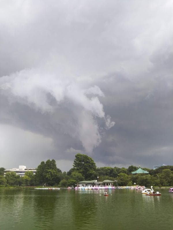 不忍池の雲