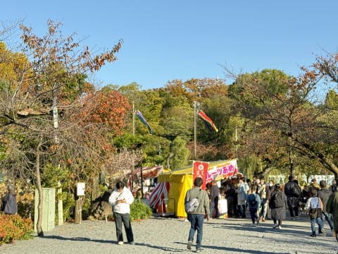 不忍池のボートと鳥