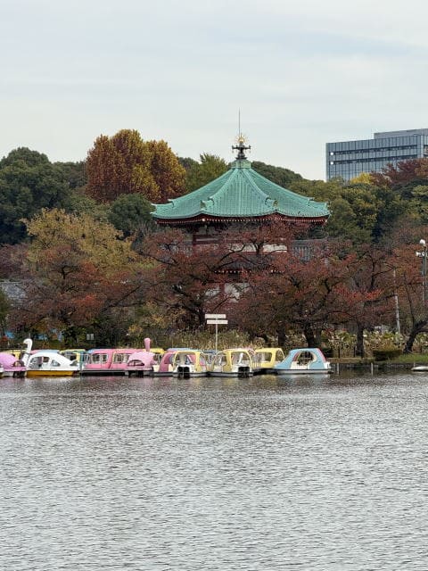 静かな不忍池です