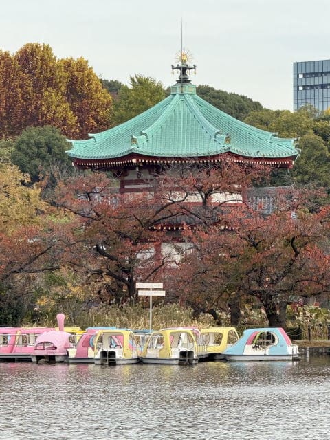 静かな不忍池です