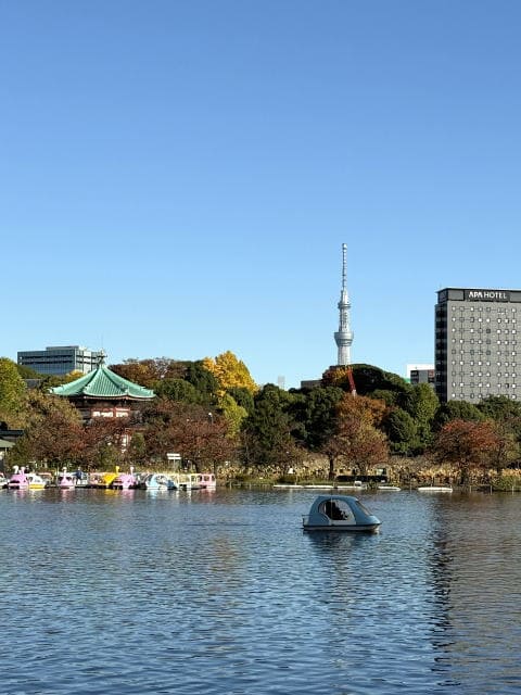 柳の木が垂れる不忍池