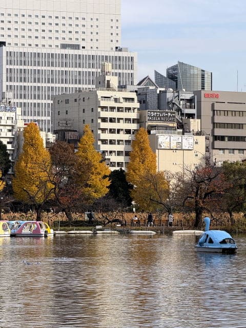 不忍池へ行こうよ