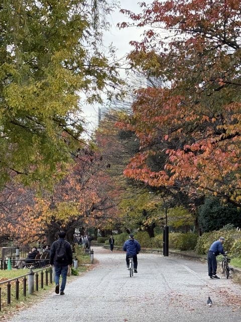 不忍池へ行こうよ