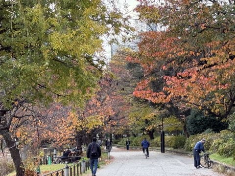 不忍池へ行こうよ