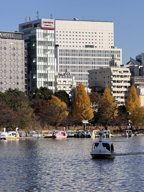 スワンボートが競走中