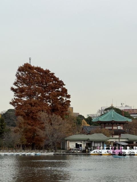 木は枯れ草花は落ち