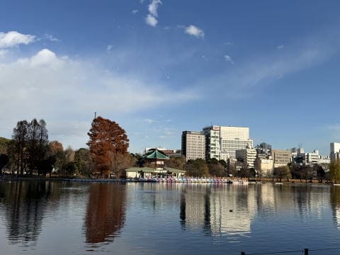 秋の景色が素敵です