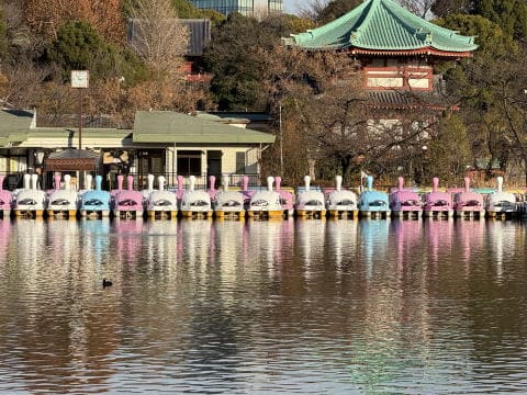 秋の景色が素敵です