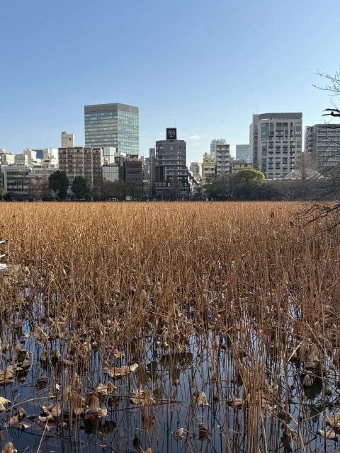 2025年 不忍池日記のはじまりはじまり