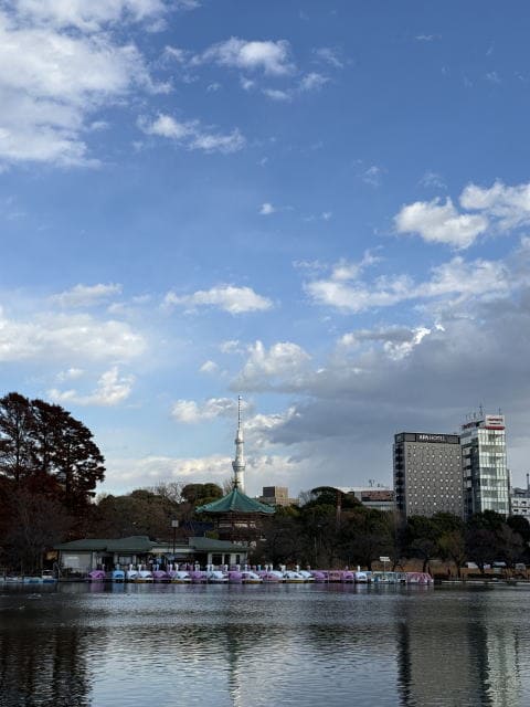 不忍池は静かですよ