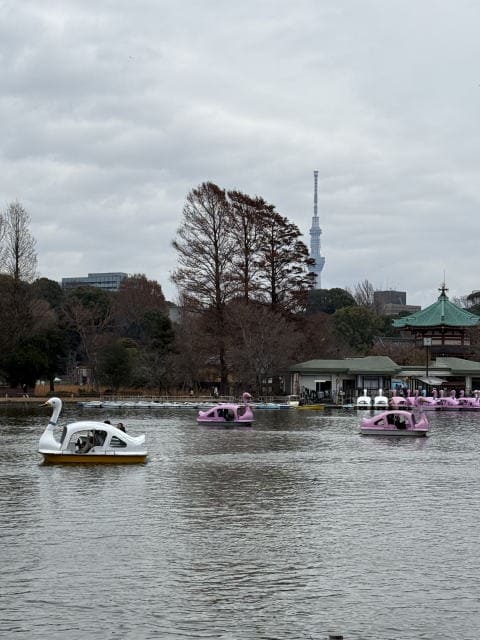 どんより不忍池