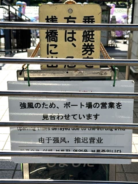 日差しが水面に反射して眩しい不忍池