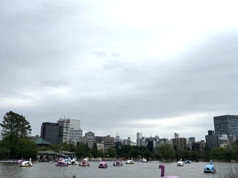スワンボート天国