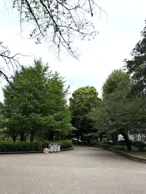 スワンボート天国
