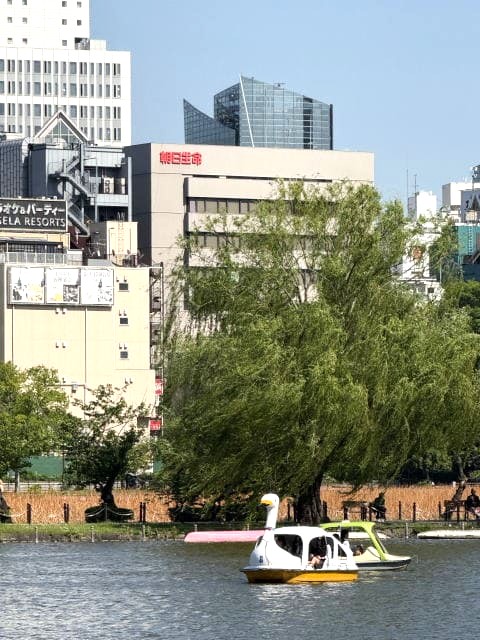 良き日に不忍池