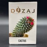 DOZAJ Cactus ドザジ カクタス