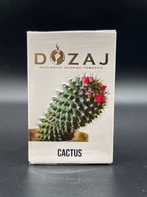 DOZAJ Cactus ドザジ カクタス