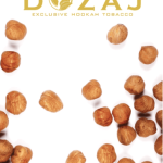 DOZAJ Hazel Nut ドザジ ヘーゼルナッツ