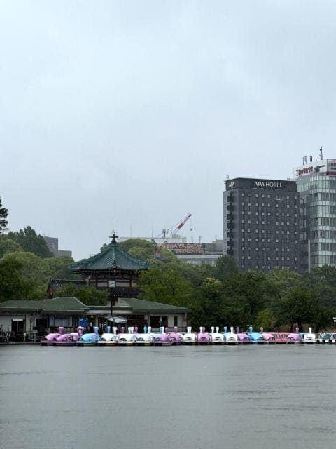 東京スカイツリーが見えない不忍池