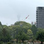 東京スカイツリーが見えない不忍池