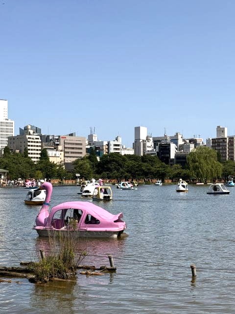 スワンボート日和の不忍池