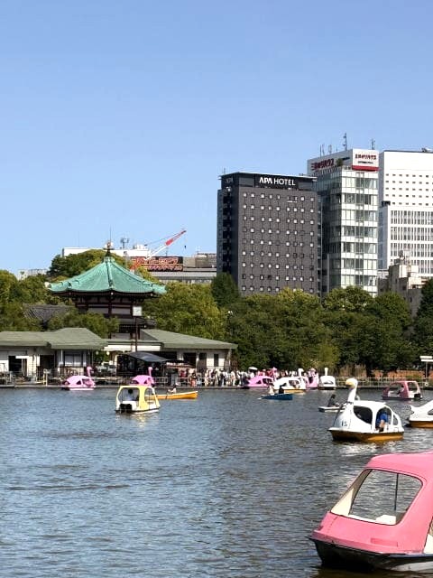 スワンボート日和の不忍池