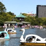 スワンボート日和の不忍池