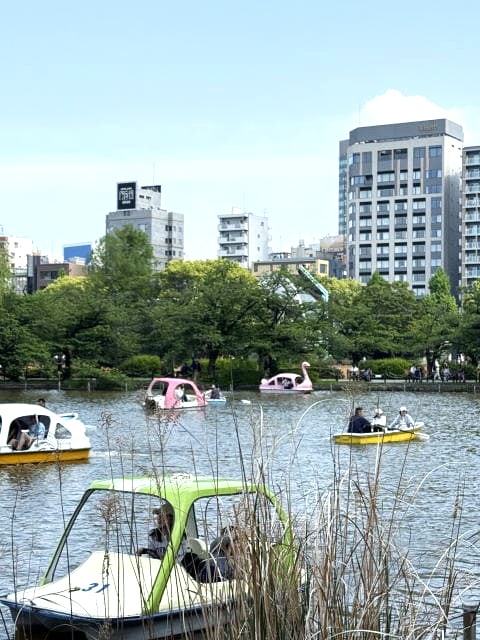 みどりの日の不忍池
