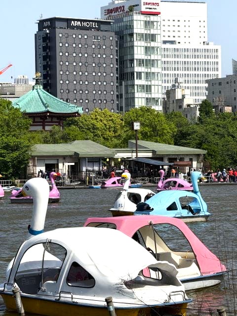 こどもの日の不忍池