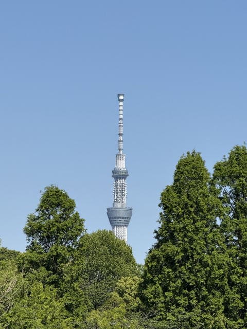 不忍池はのどかぁ～