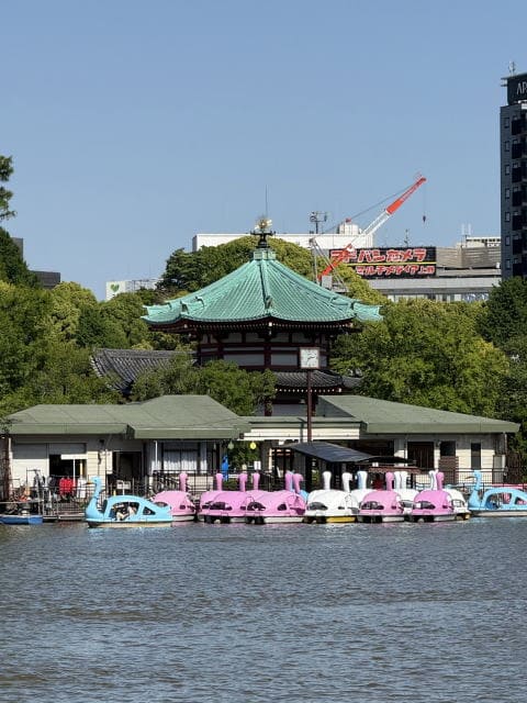 不忍池はのどかぁ～