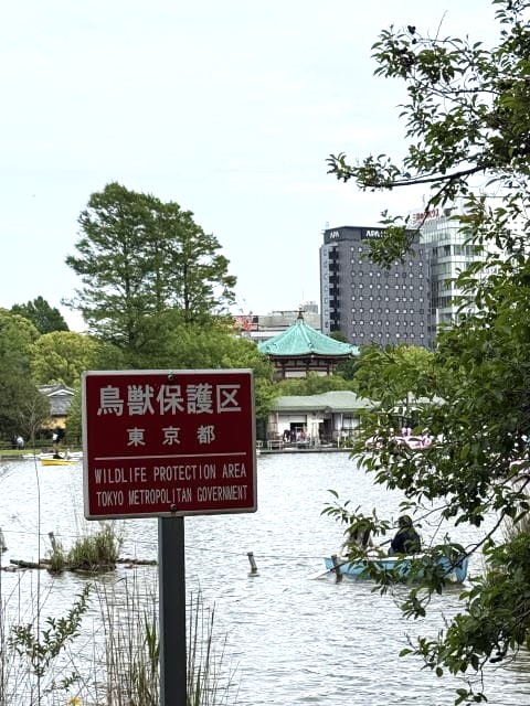 嵐の前の不忍池