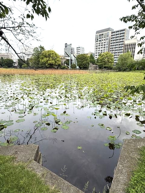 嵐の前の不忍池