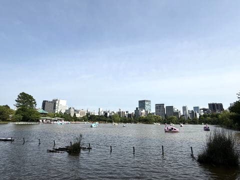 不忍池はしずかぁ～