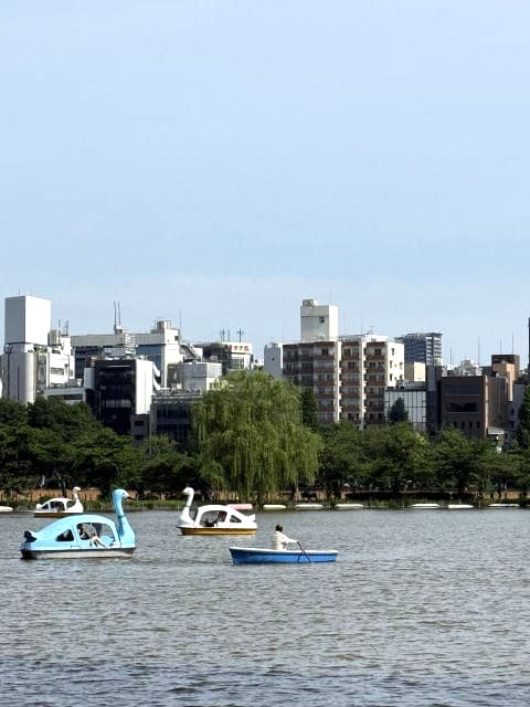 不忍池はしずかぁ～