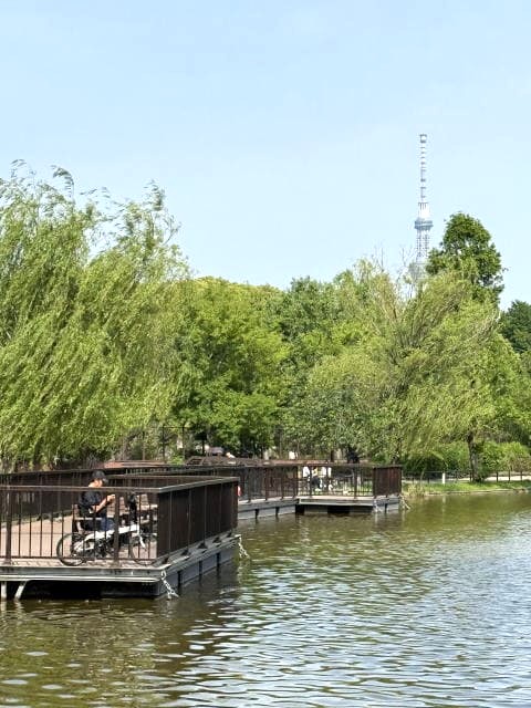 不忍池はしずかぁ～