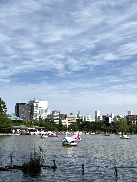長閑な不忍池