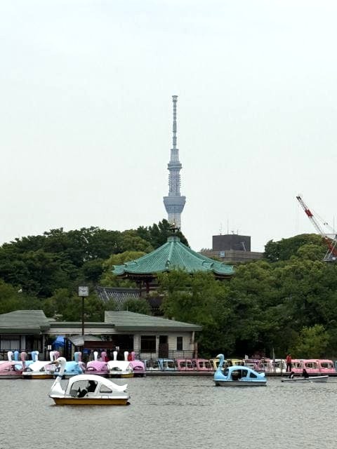 不忍池は居心地よくて