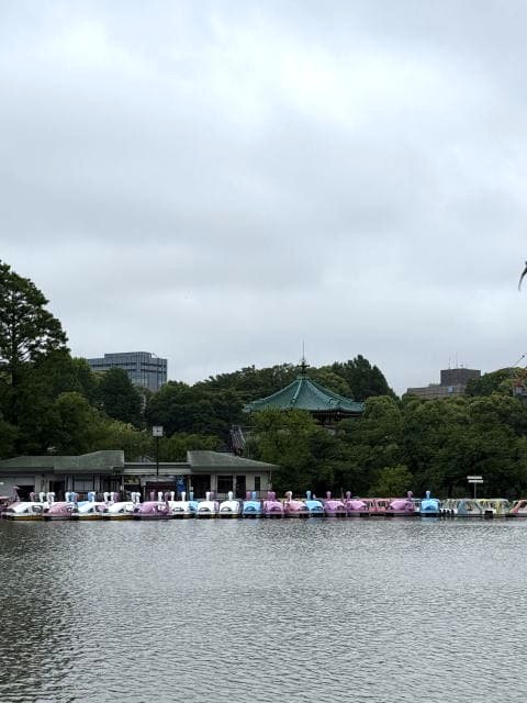 不忍池は雨と曇り