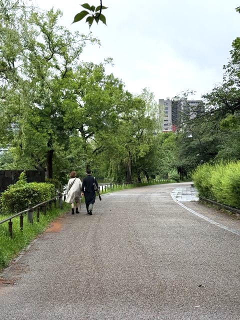 不忍池は雨と曇り