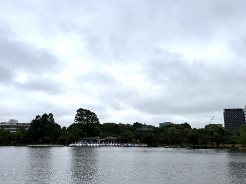 不忍池は雨と曇り