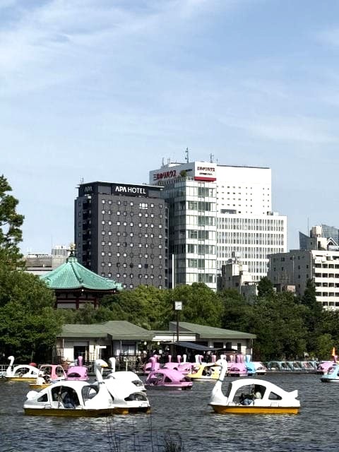 不忍池は風が吹く