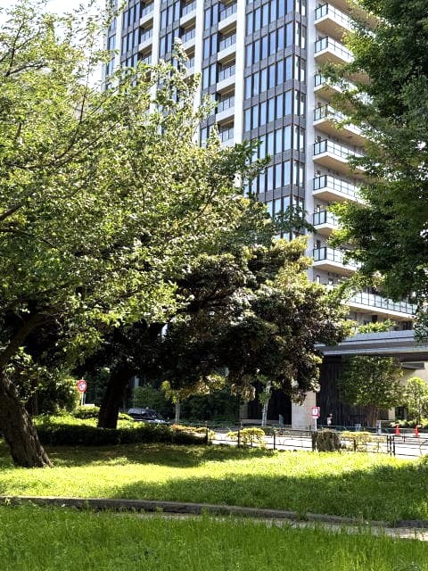 不忍池は風が吹く