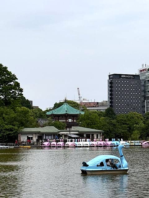 ぶらぶら不忍池
