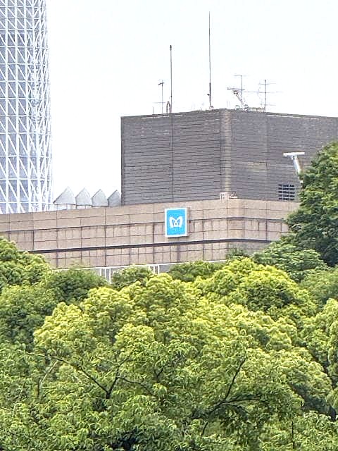 ぶらぶら不忍池