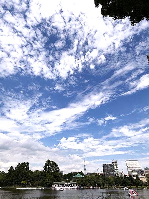 雨上がりの日の不忍池