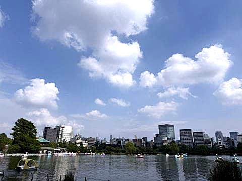 不忍池の周辺